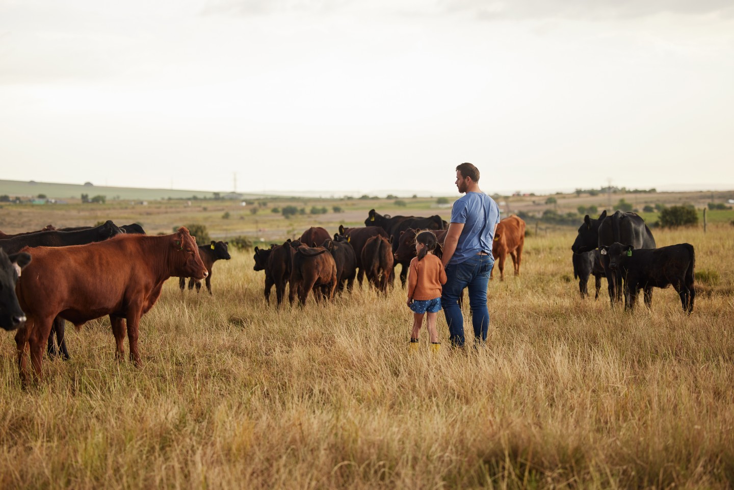 farm and ranch insurance